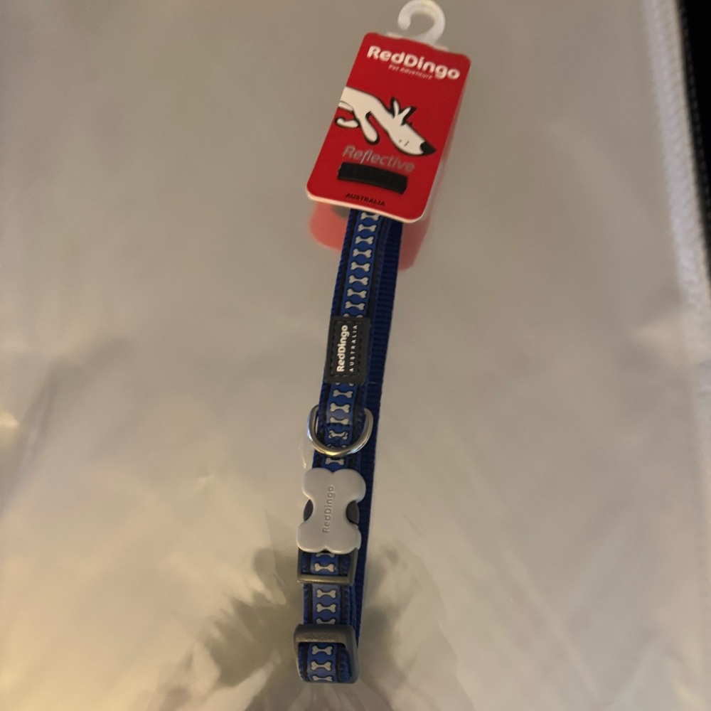Dingo Blue Dog Collar